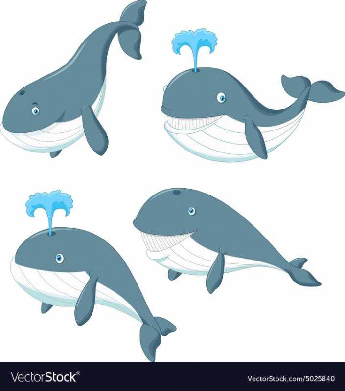 Несколько китов вектор