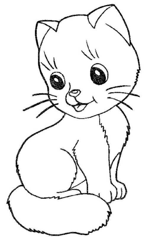 Раскраска. Котики