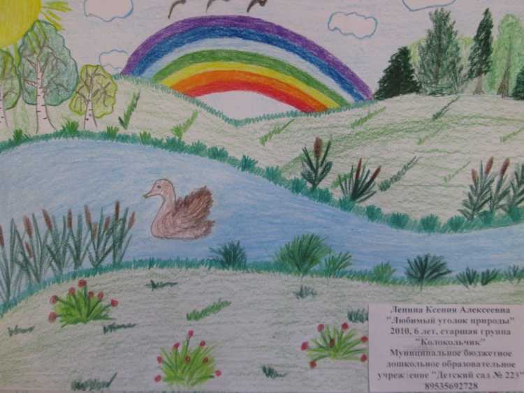 Любимый уголок природы рисунок