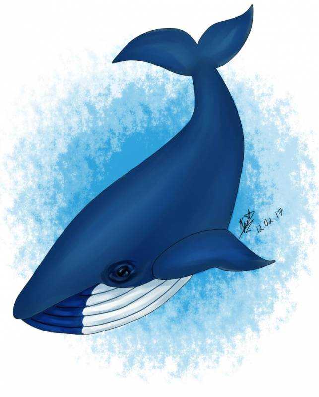 Кит рисунок