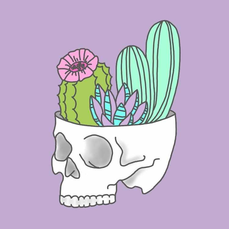 Тумблер кактусы