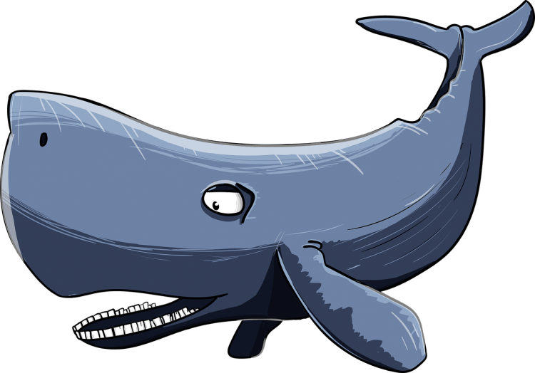 Киты мультяшные