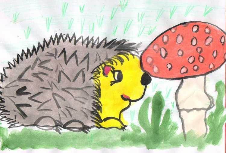 Ёжик раскраска для детей