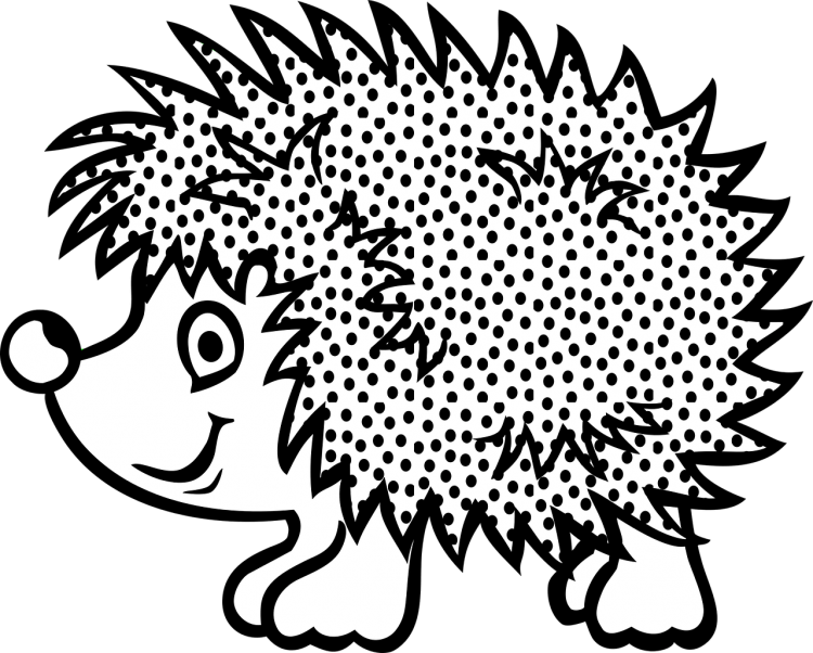 Ежик Графика