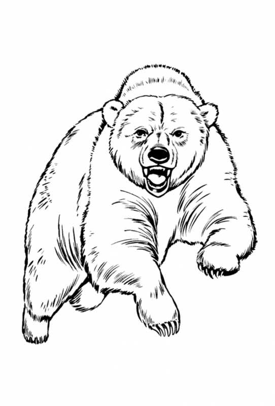 Мишка силуэт