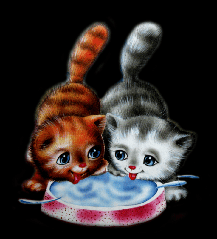 Изображение котенка для детей