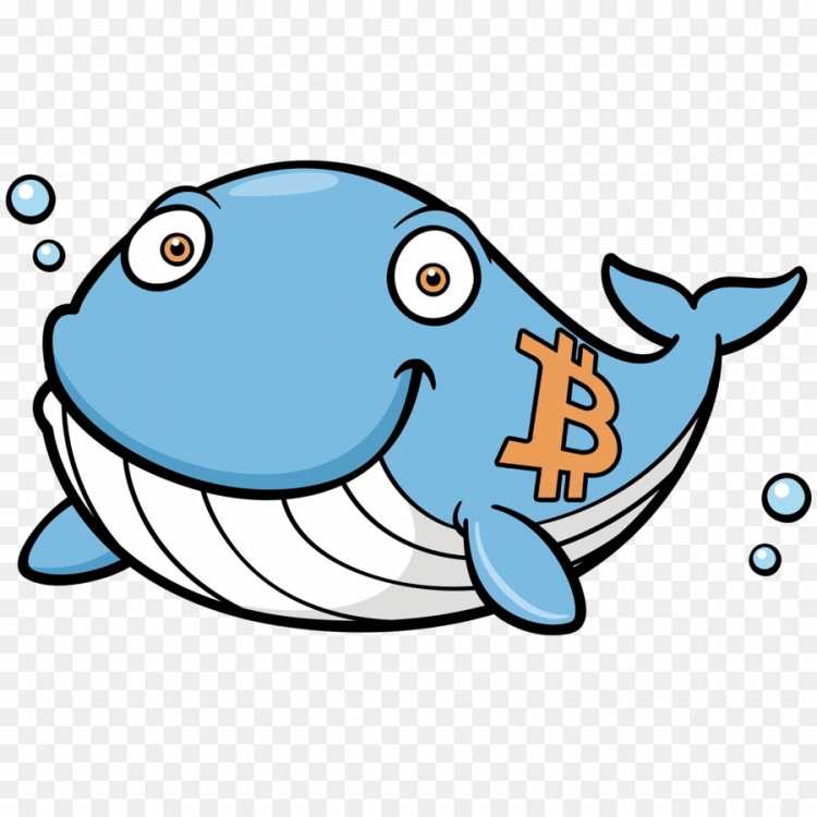 Киты мультяшные