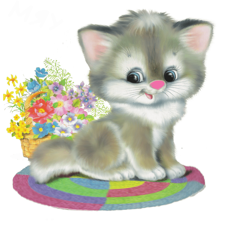 Котенок в детском саду