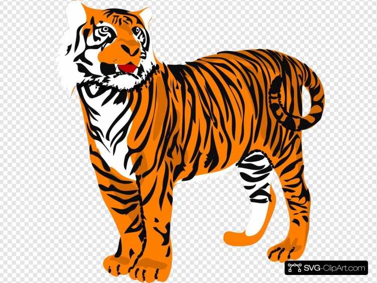 Тигр рисунок