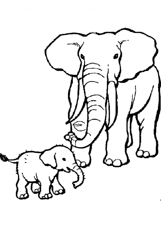 Слониха со слоненком раскраска