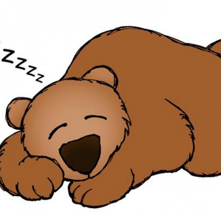 Медведь раскраска для детей