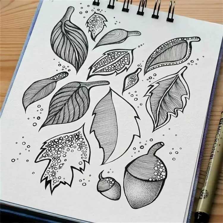 Рисунки для скетчбука для начинающих