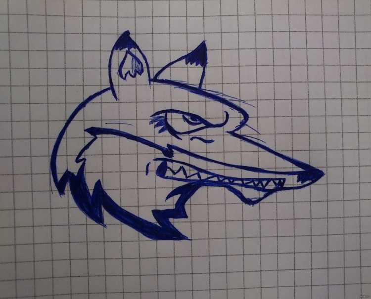 Рисунки ручкой для срисовки