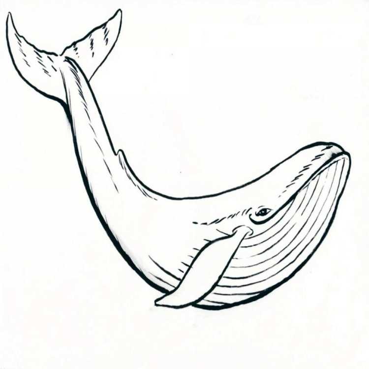 Кит мультяшный