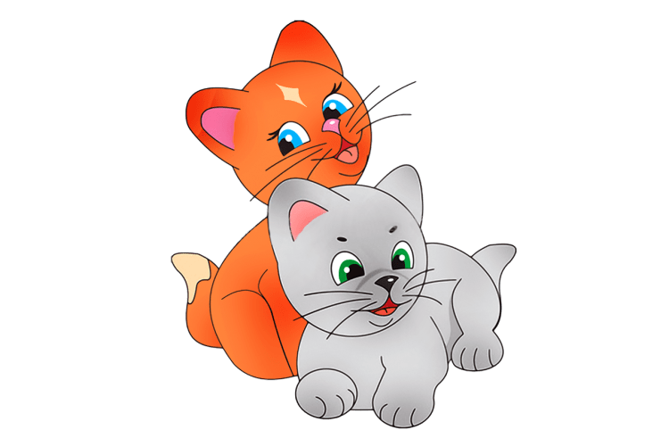 Отрисовка кошечка