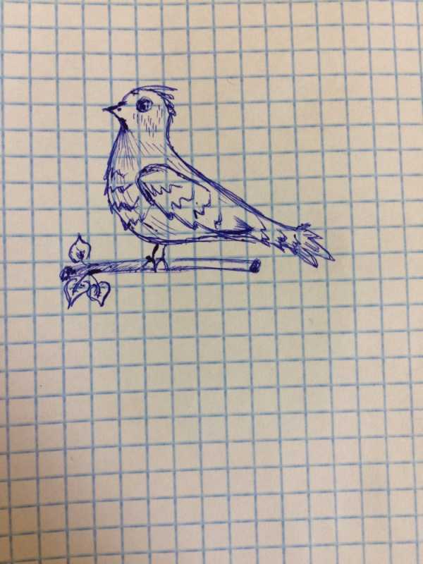 Рисунки ручкой в тетради