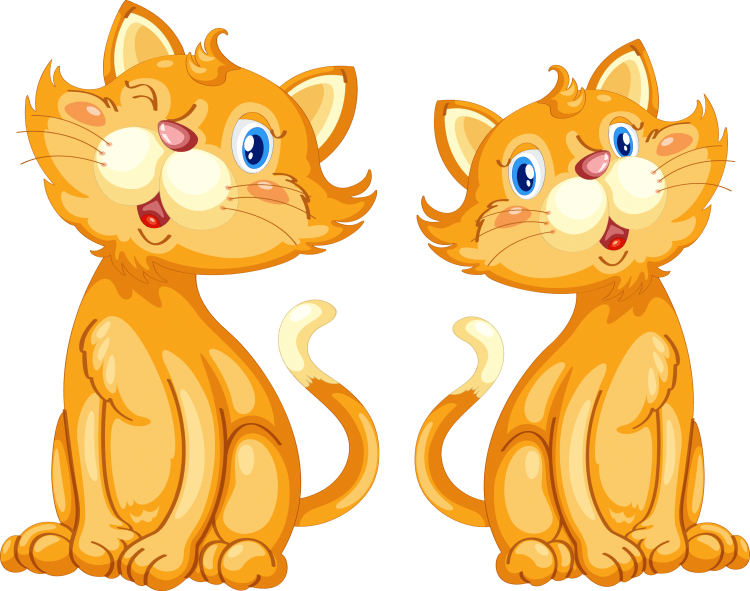 Кошка клипарт на прозрачном фоне