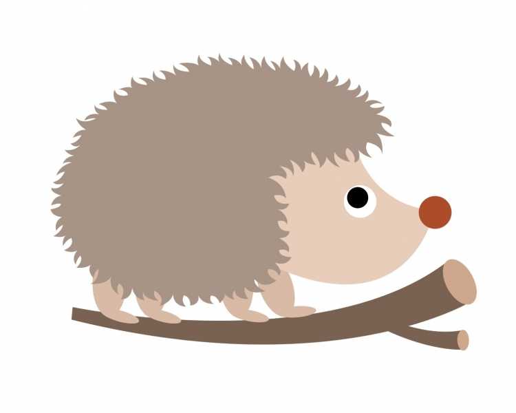 Поэтапное рисование ежика