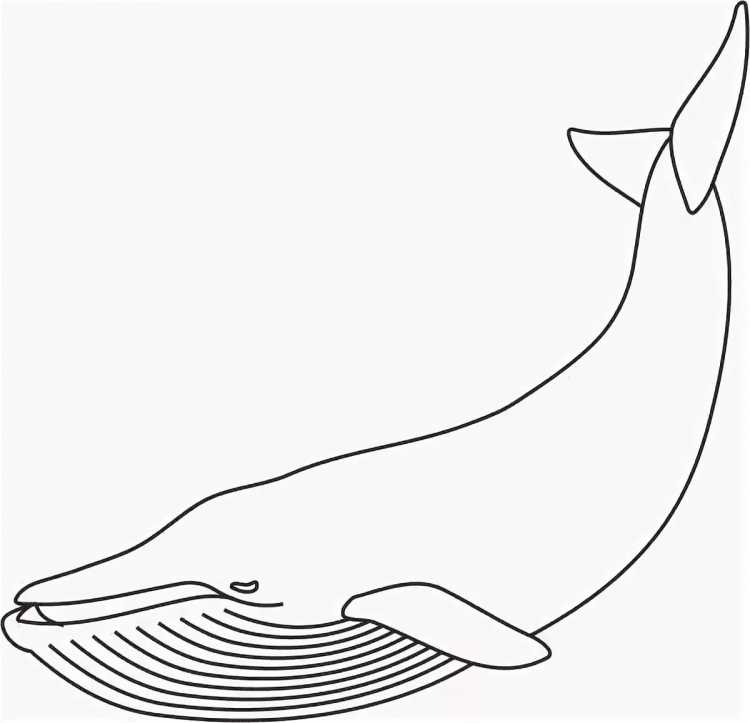 Кит трафарет