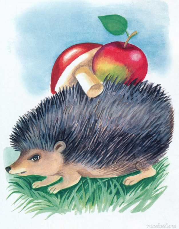 Ежик для детей