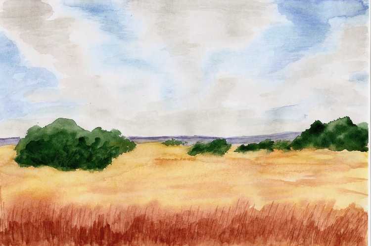 Степь акварель