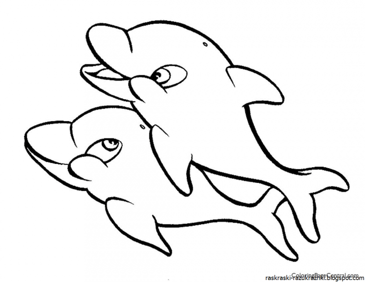 Раскраска "дельфины"