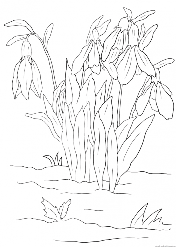 Раскраска. Весна