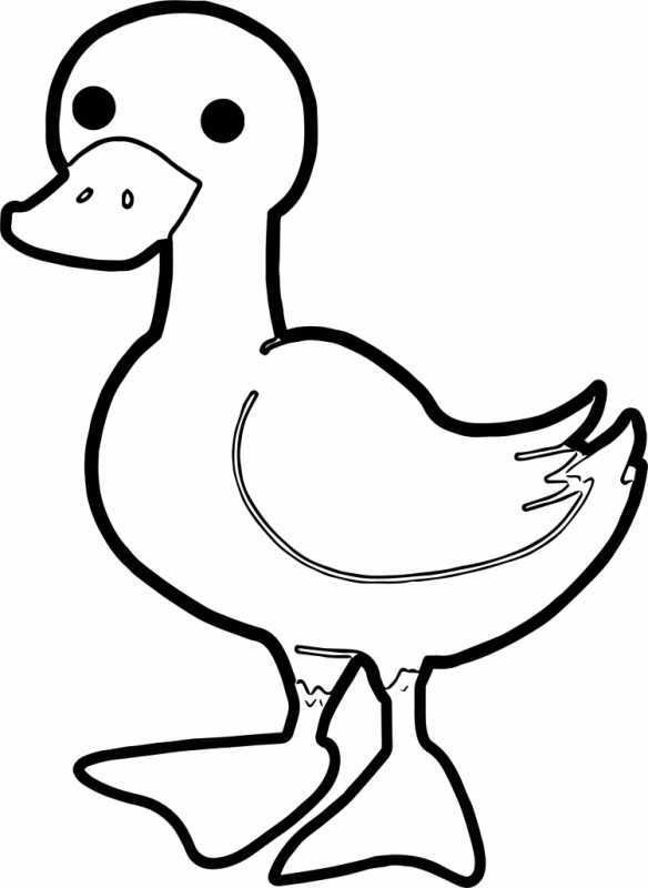 Гусь рисунок