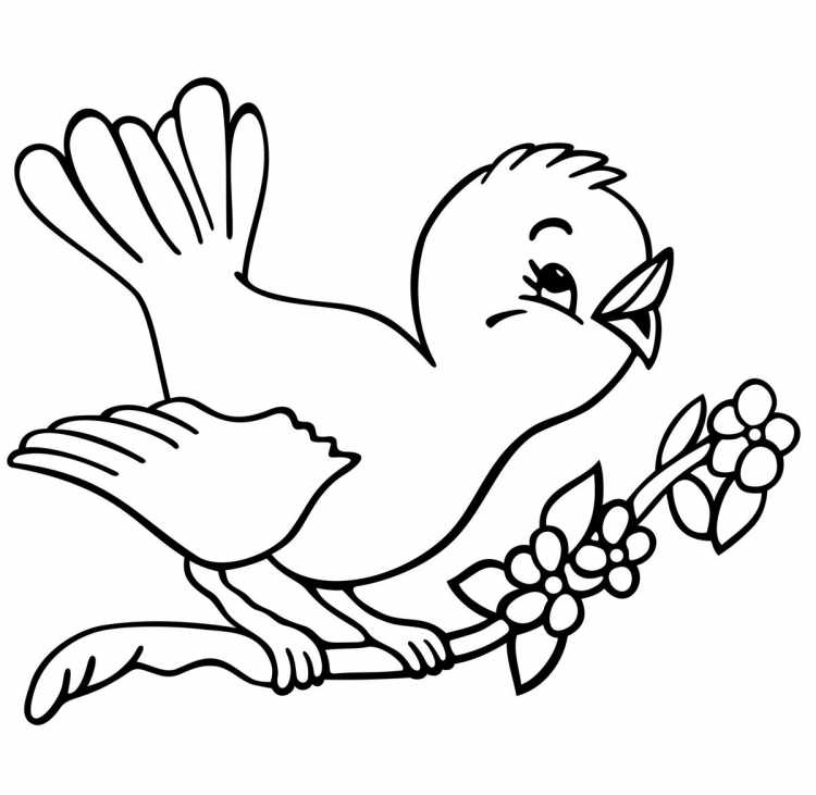 Картинки для раскрашивания для детей