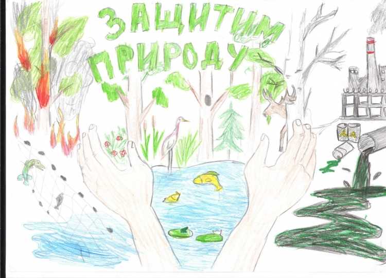 Как защитить природу