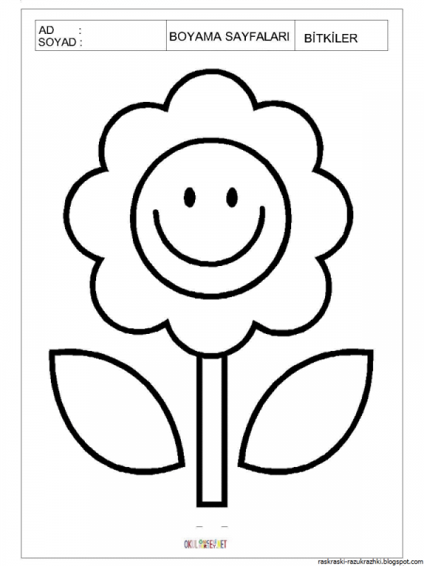 Раскраски цветов для детей
