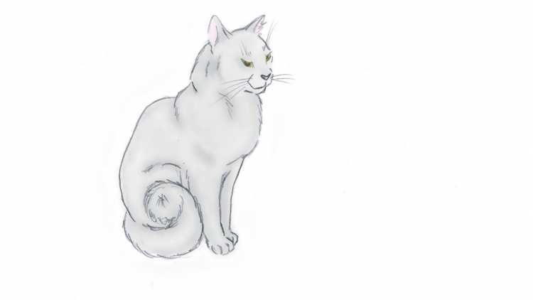 Котёнок рисунок карандашом