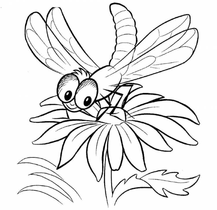 Насекомые раскраска для детей