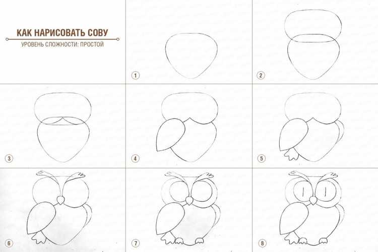 Поэтапные рисунки карандашом для начинающих