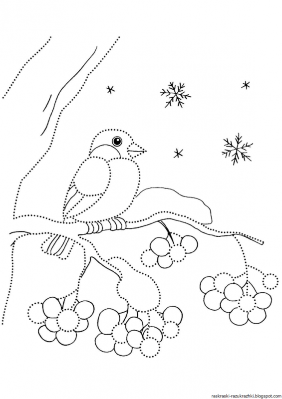 Зимние птицы раскраска