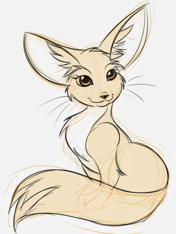 Фенек карандашом