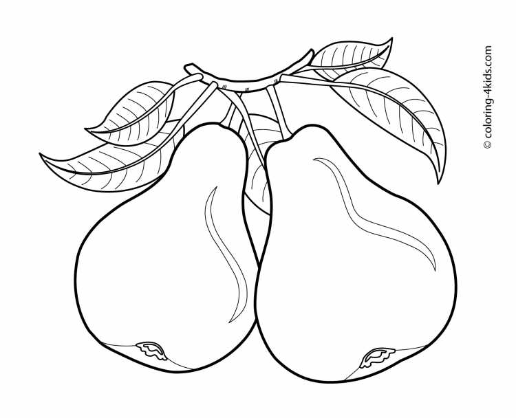 Раскраска фрукты и ягоды на тарелке