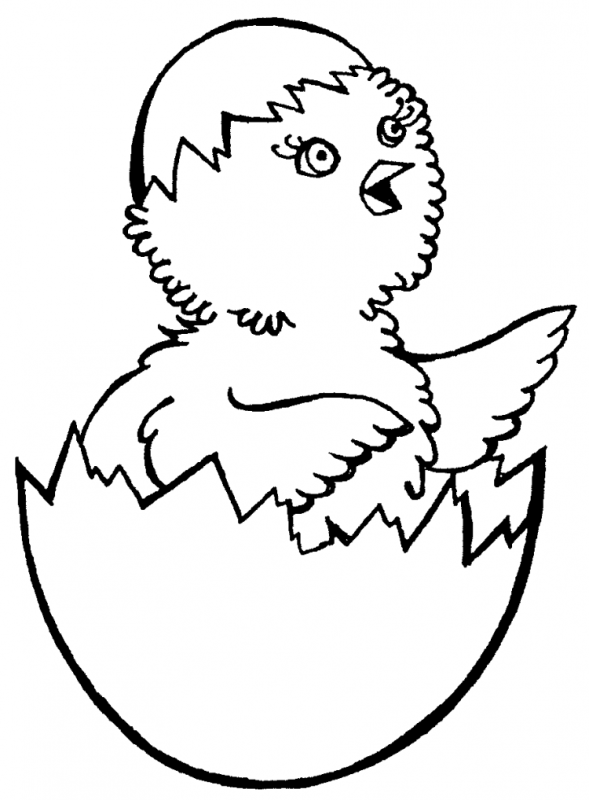 Рисование штриховкой цыпленок