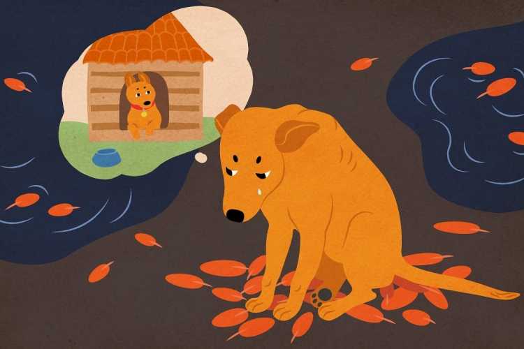 Рисунок на тему протяни руку помощи