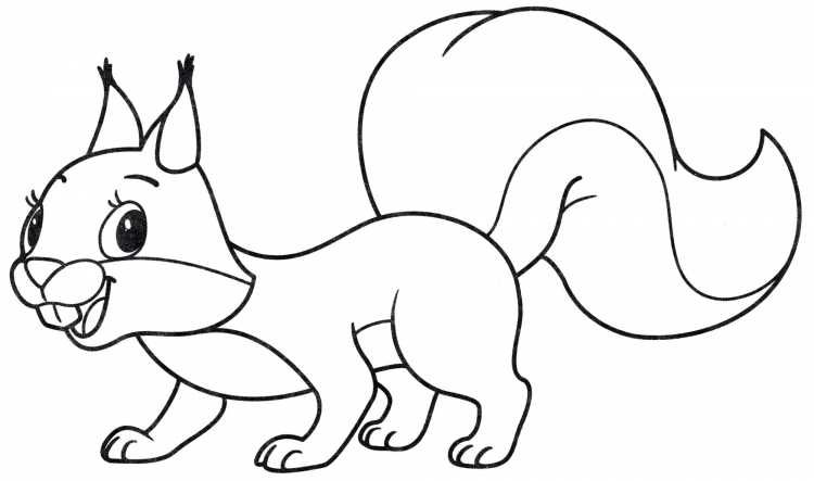 Белочка раскраска для детей