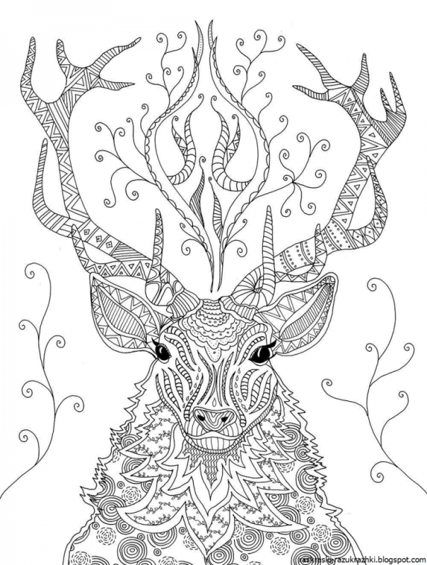 Бемби и Фелин раскраска