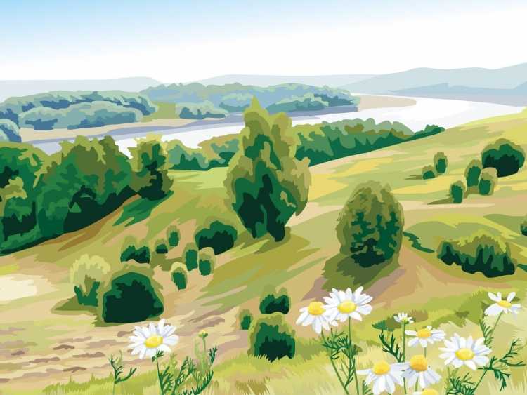 Рисунки природы