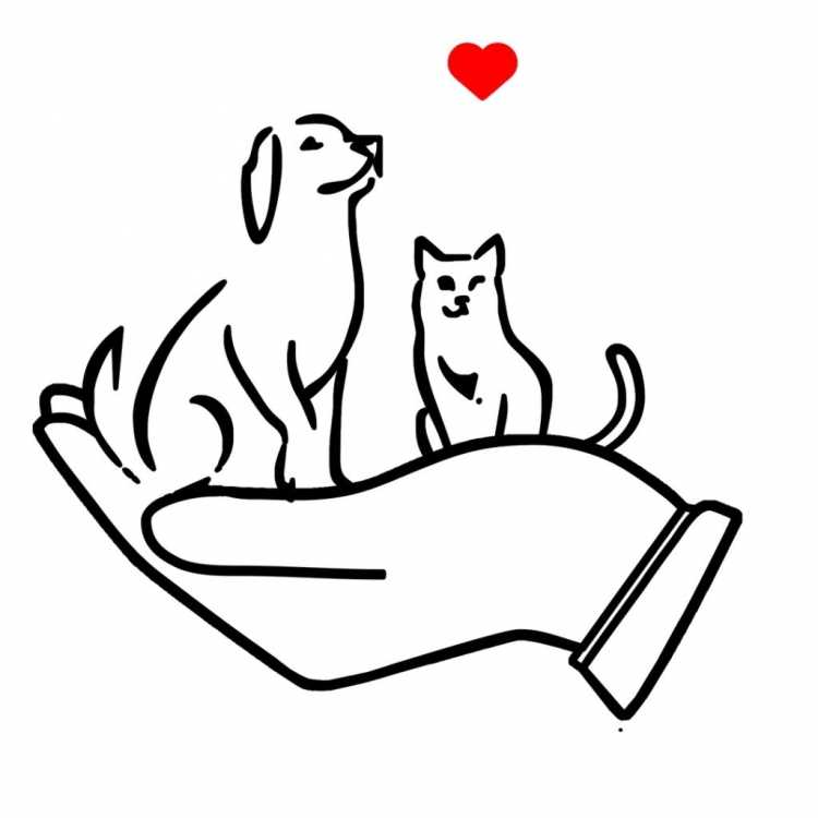 Раскраска бездомные животные