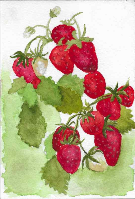 Клубника для детей