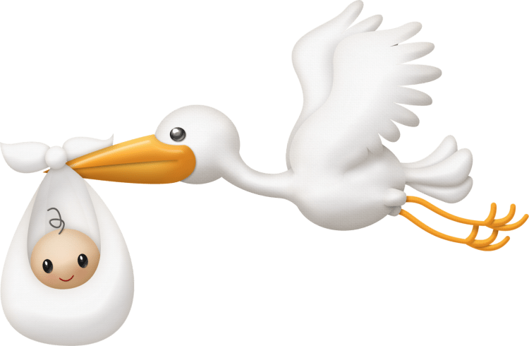 Аист раскраска