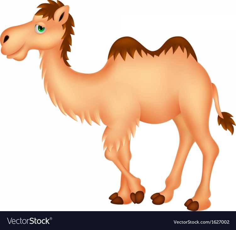 Силуэты верблюдов