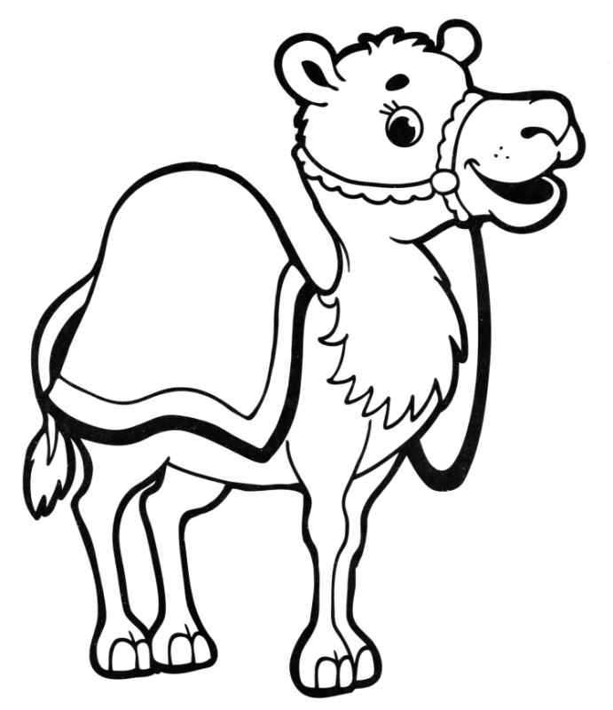 Нарисовать верблюда