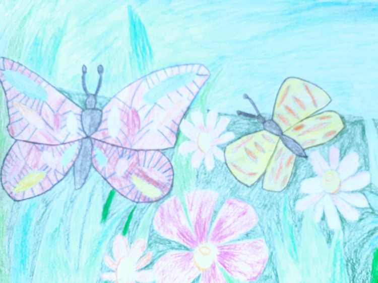 Фото летних рисунков