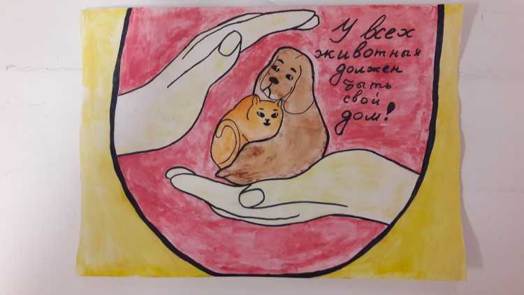 Рисунок на тему помощь бездомным животным
