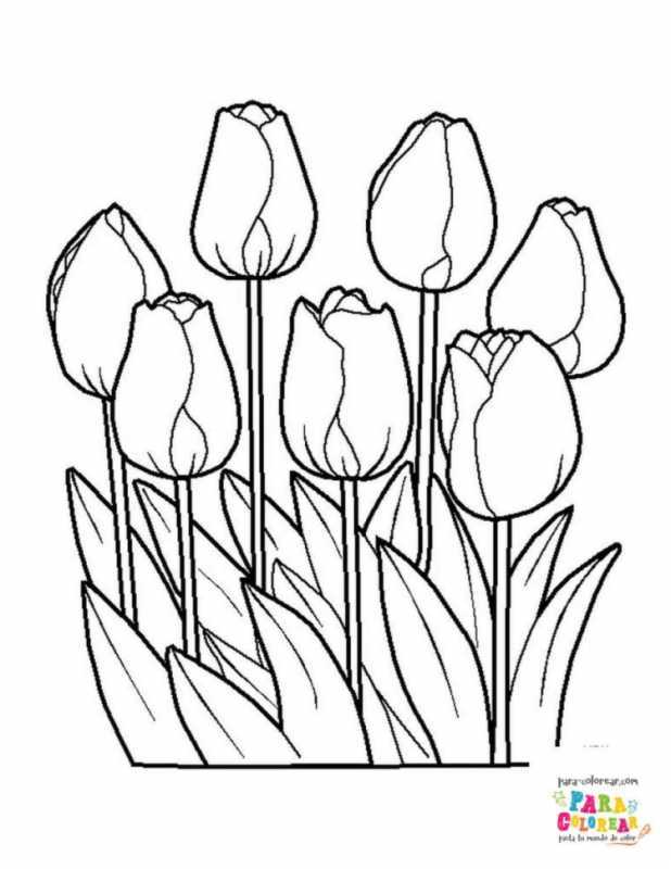 Тюльпаны в вазе рисунок для детей